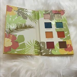 Alamar Cosmetics eyeshadow pallet